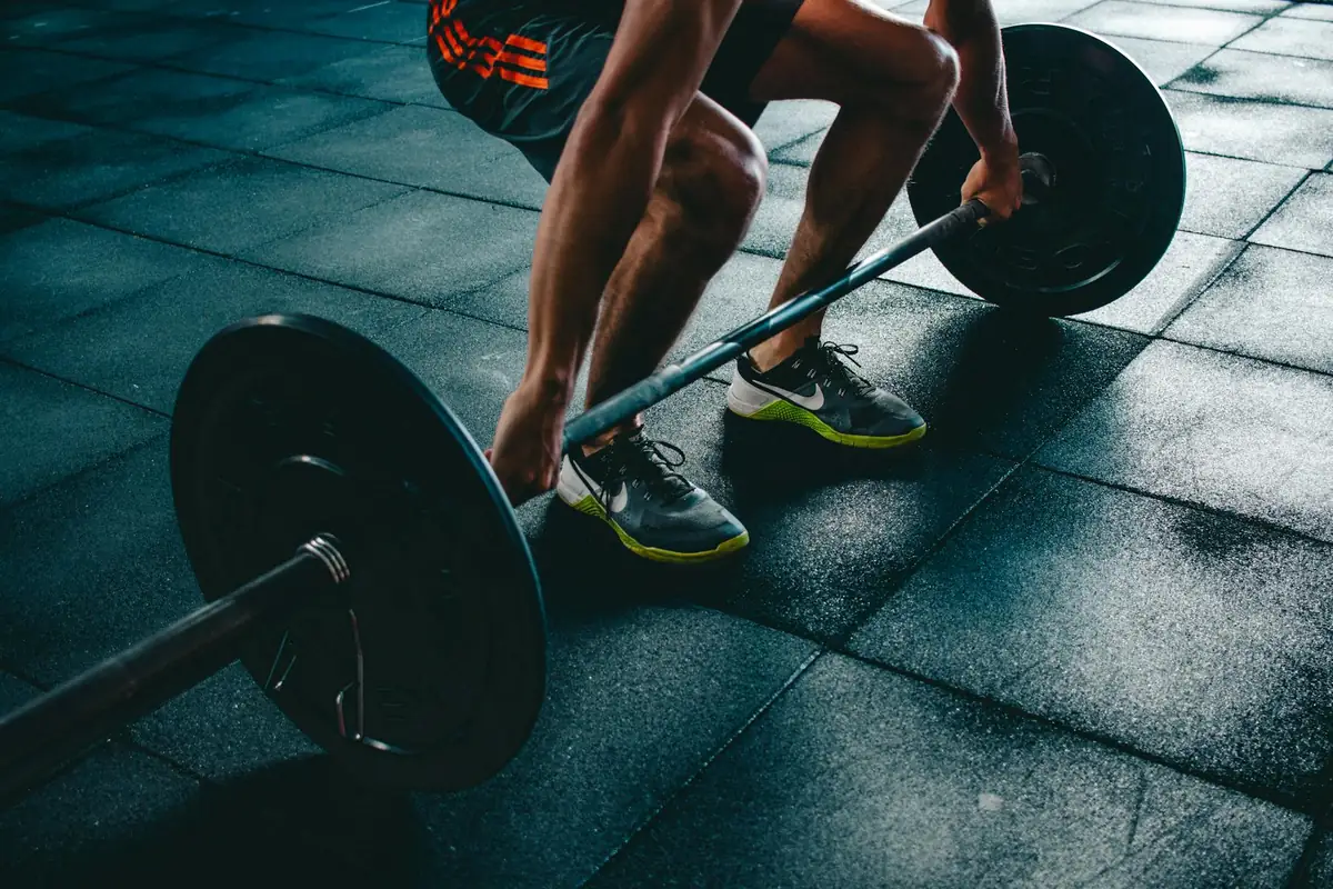 Muscle Building programme