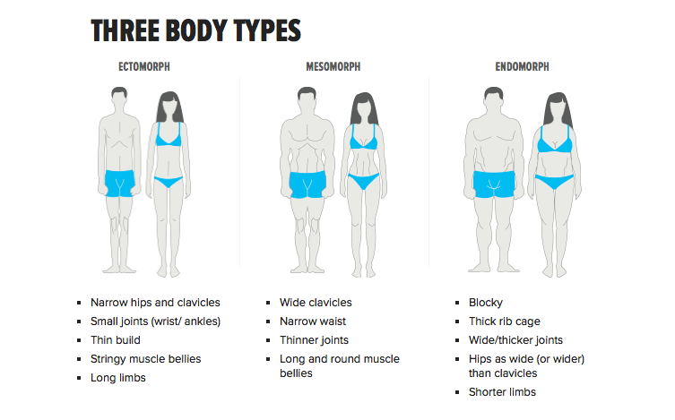 Three Body Types - Weight Control