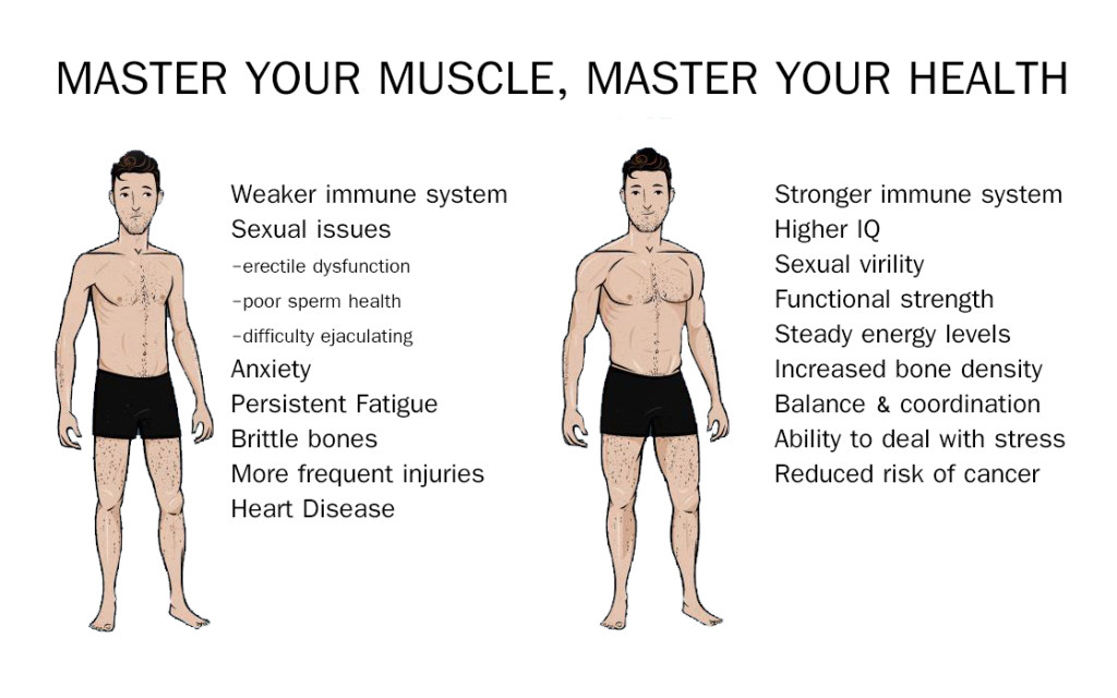 Muscle Building - Master your muscle - Master your health